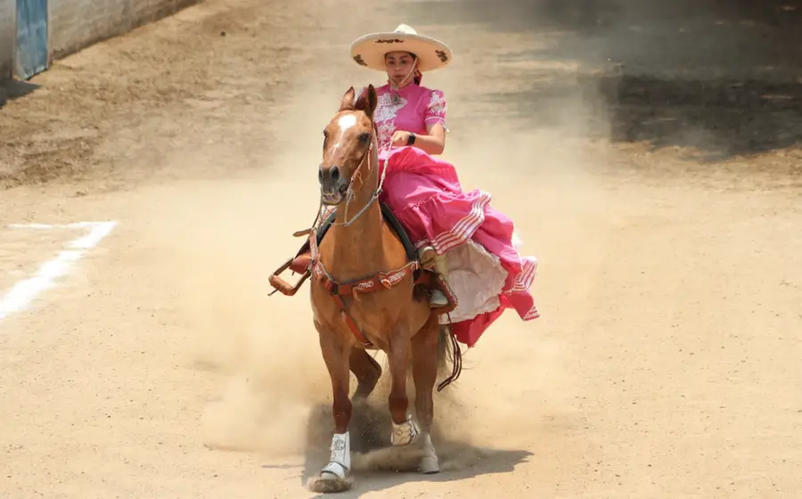 caballo-portada