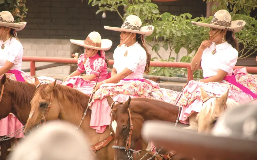caballo-portada