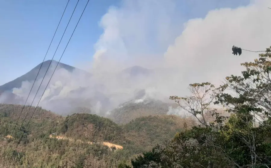 incendio-portada