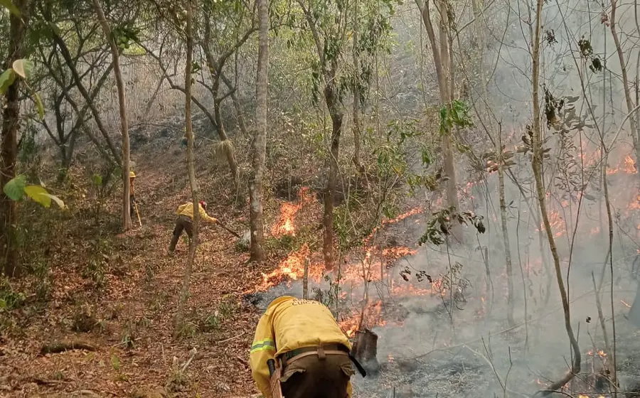 incendio-portada