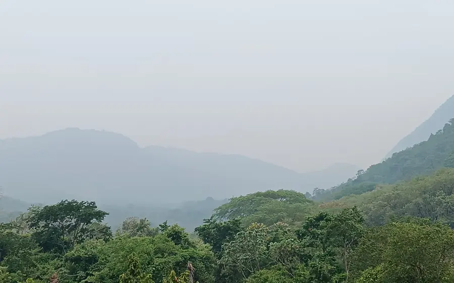 incendio-portada