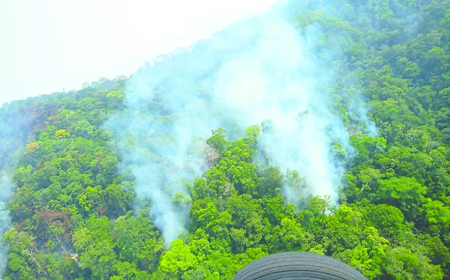 incendio-portada