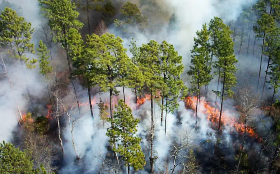 incendio