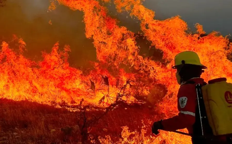 incendios-oaxaca_1