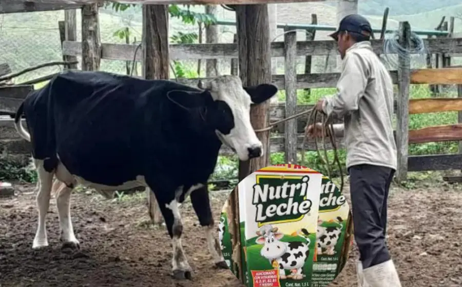 revelan_nutri_leche_no_es_leche