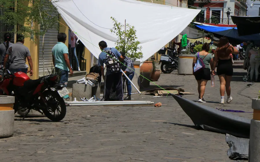 planton-S22