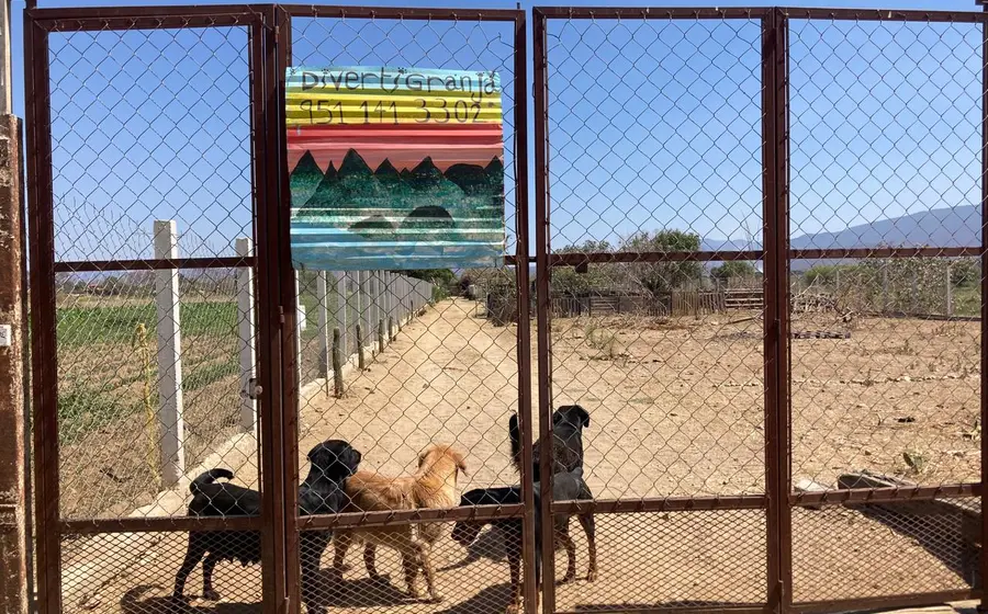 voz-portada