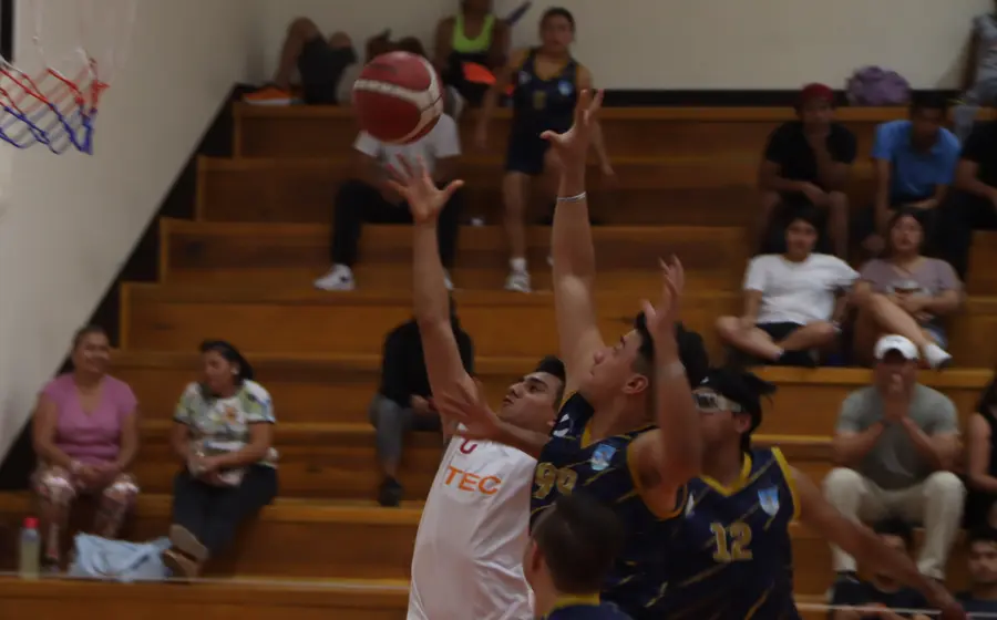 basquet-portada