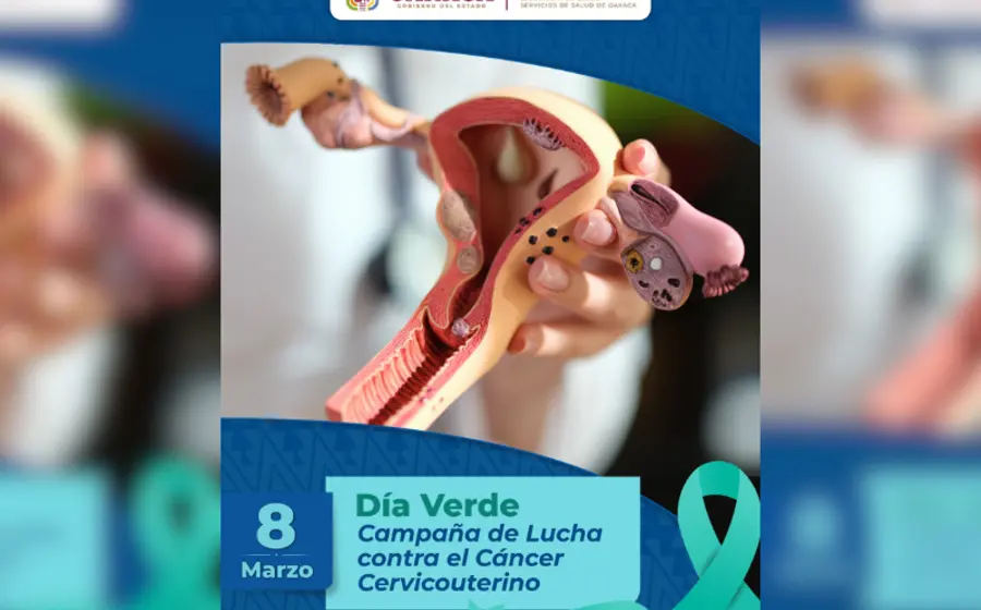 campaña_lucha_vs_cancer_cervicouterino