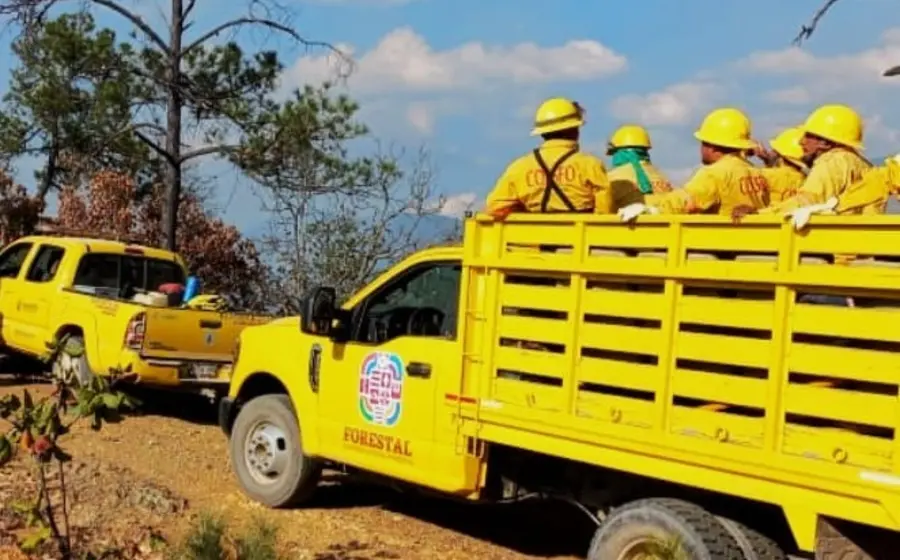 combaten_incendio_forestal_santiago_tilantongo