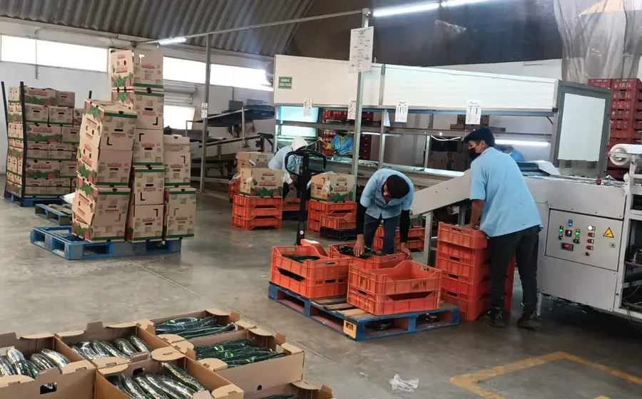 comercializadora-huixtepec