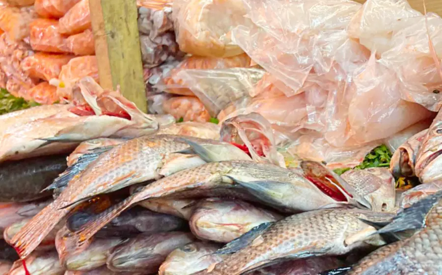 venta_mariscos_por_cuaresma_oaxaca