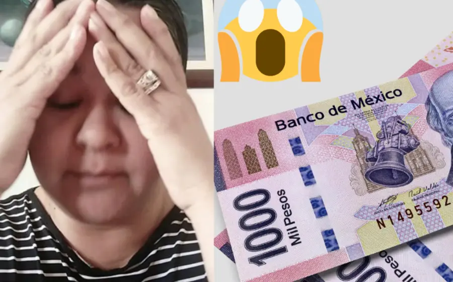 estafan_maestra_cien_mil_pesos_whatsapp