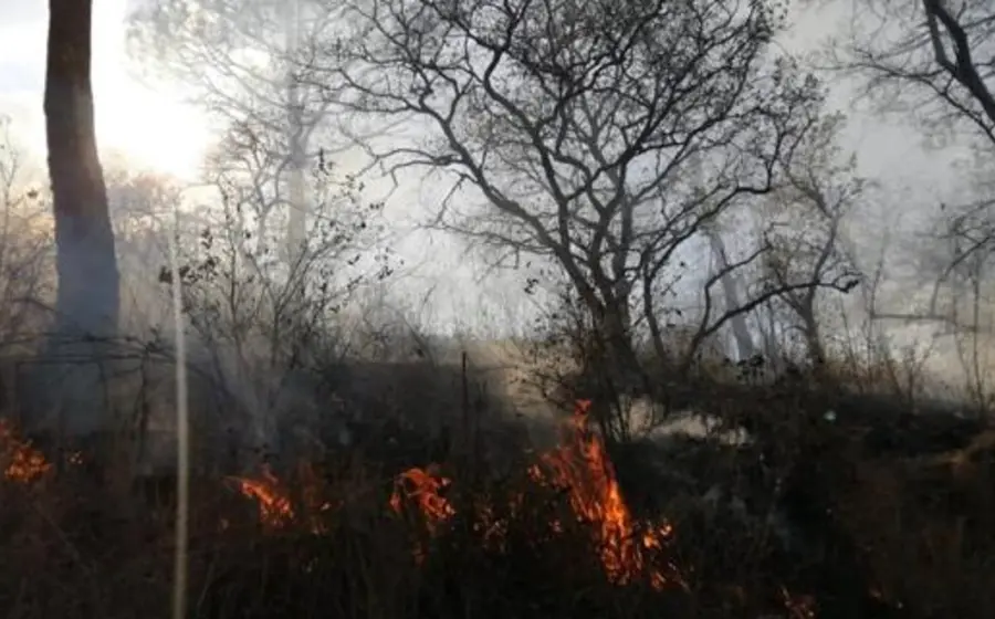 fuego-oaxaca