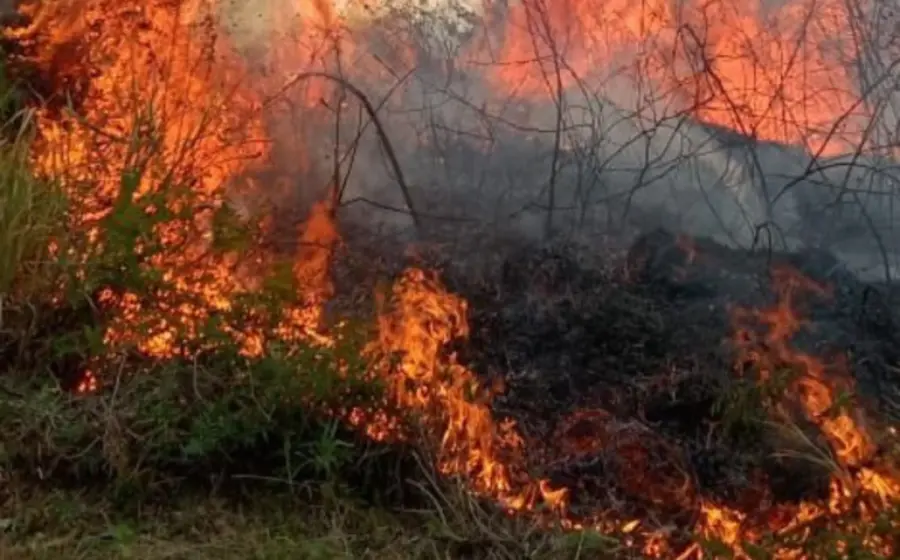 fuego-portada
