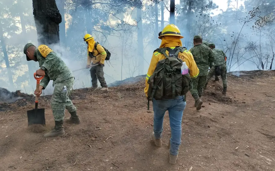 combaten_incendio_forestal_asuncion_mixtepec