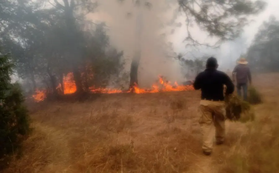 incendio-forestal1