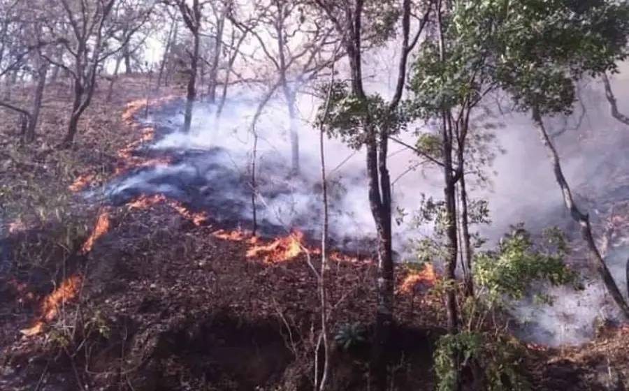 incendio-oaxaca