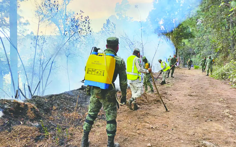 incendio-oaxaca