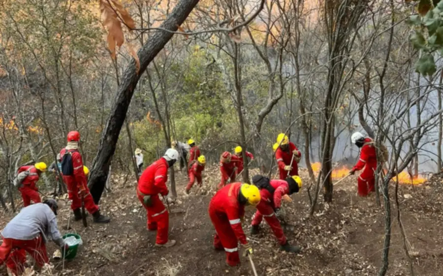 incendio-portada