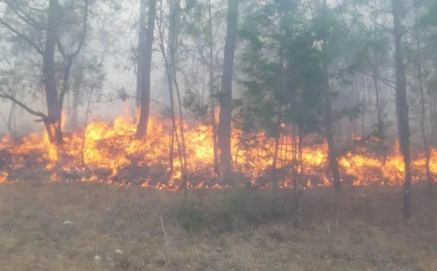 incendio-portada