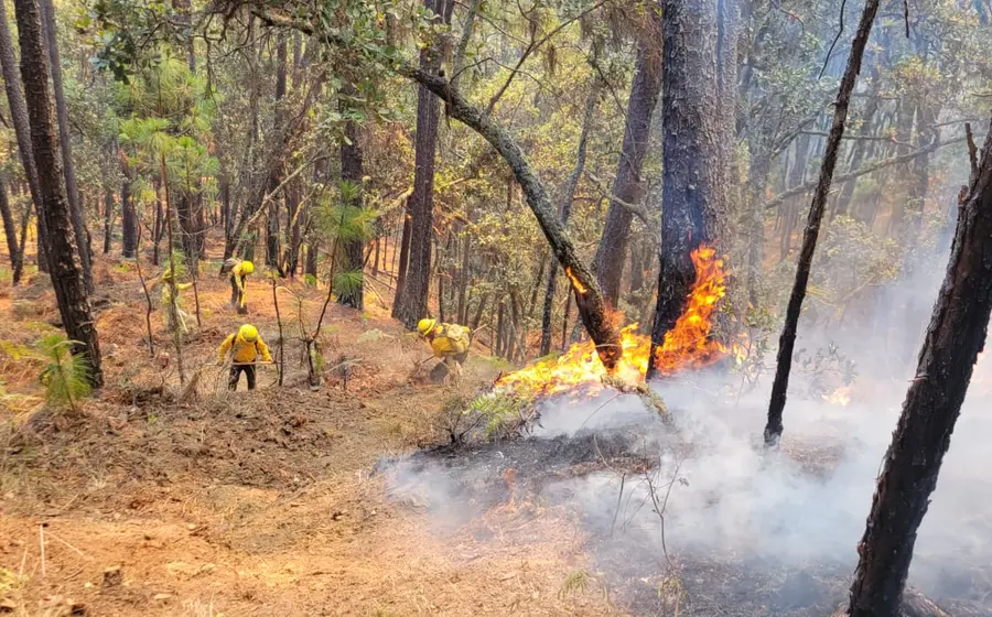 incendio_forestal_san_martin_peras