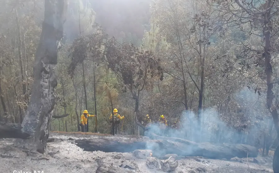 incendio-oaxaca