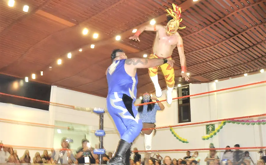 lucha-portada