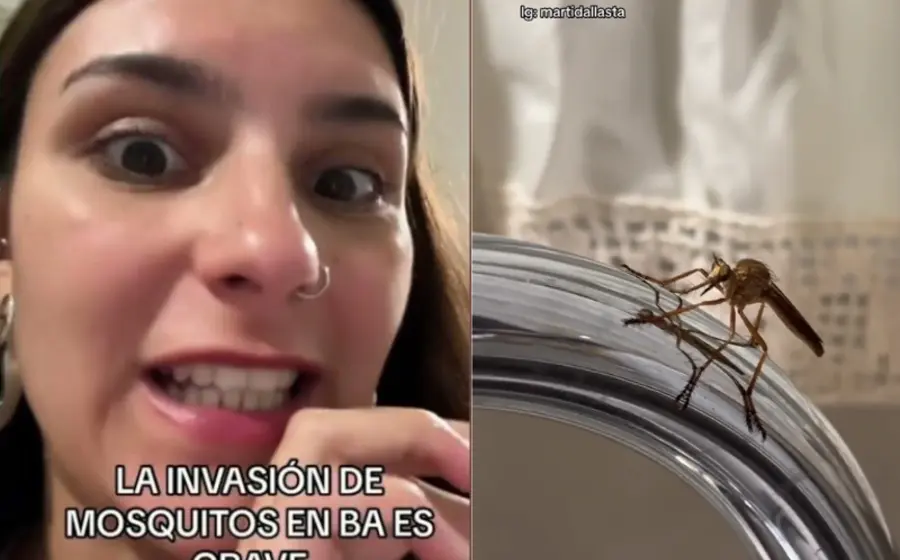 mujer_panico_zancudo_gigante