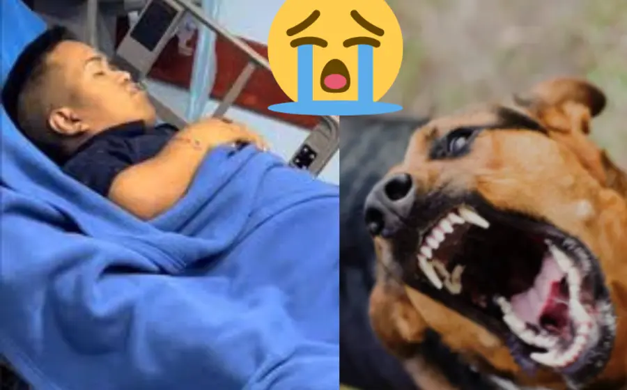 perro_con_rabia_muerde_medio_metro