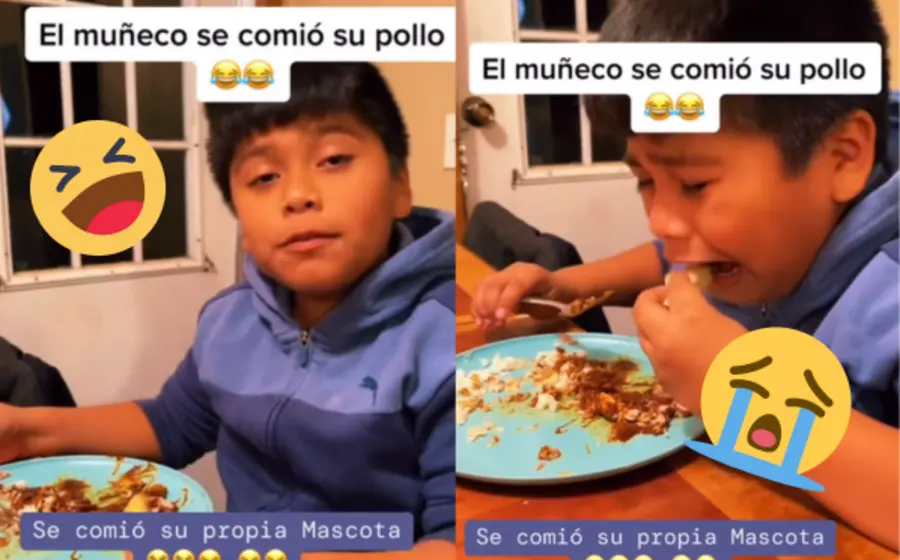 niño-pollo-portada