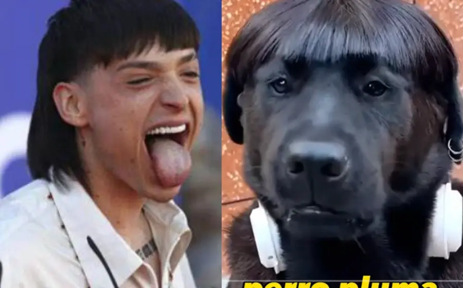 perro_corte_peso_pluma