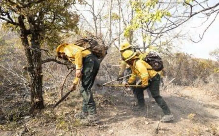 plan_estrategico_liquidacion_incendio_quiavini