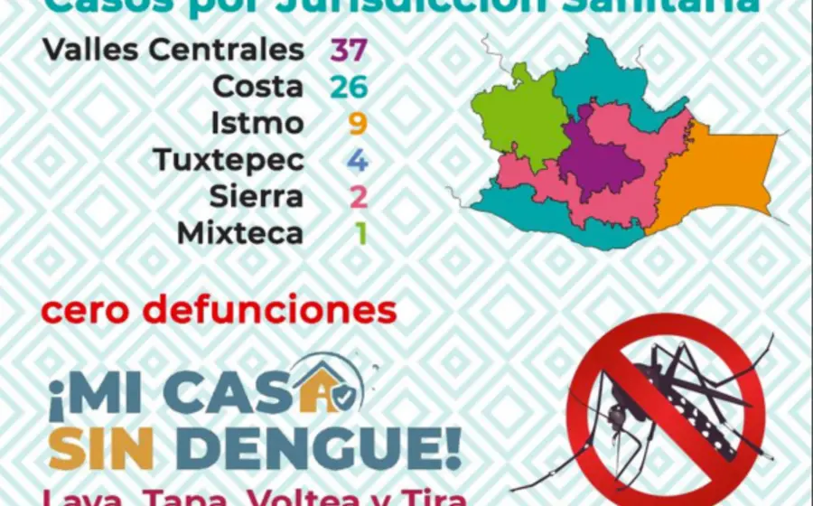 portada-dengue