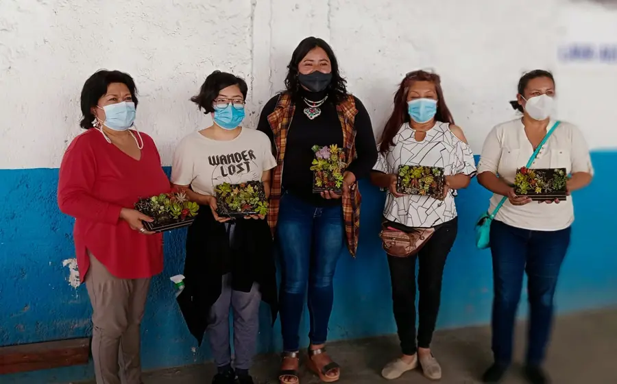 portada-mercado