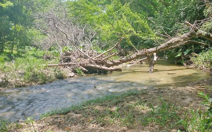 rio-oaxaca