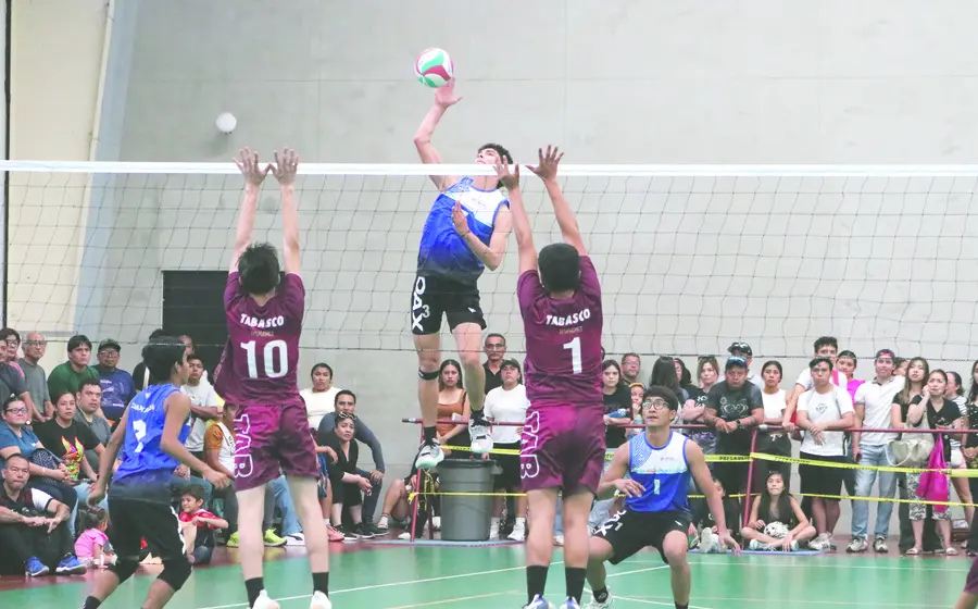 voley-portada