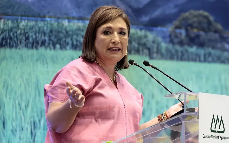 Xochitl-Galvez