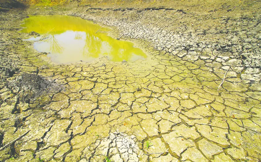agua-portada