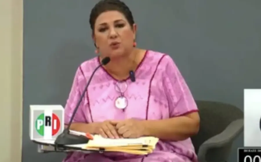 carmelita_ricardez_propone_solucion_incendios_forestales