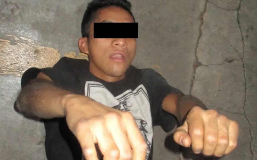 daño-portada