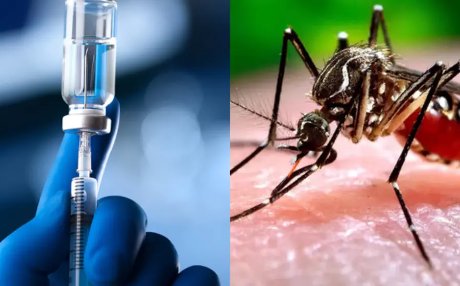 dengue-vacuna-portada