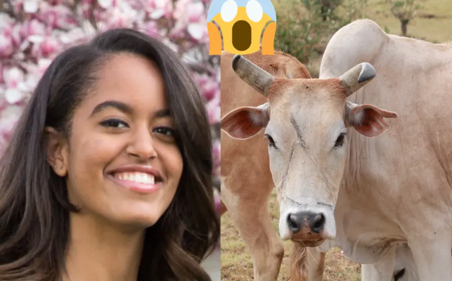 piden_mano_malia_hija_obama