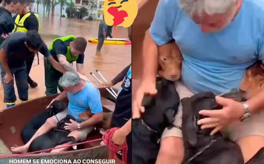 hombre_rescata_lomitos_inundacion