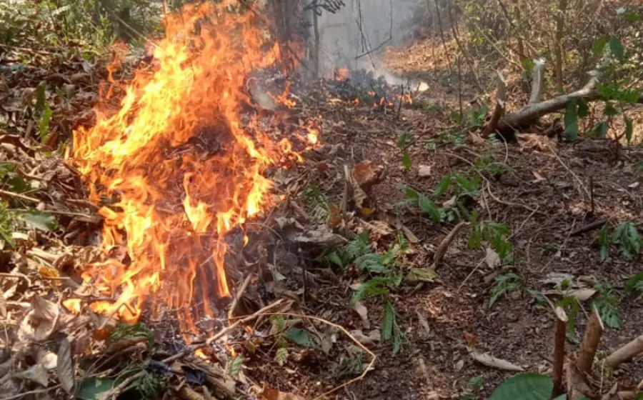 controlado_incendio_pluma_hidalgo_pochutla