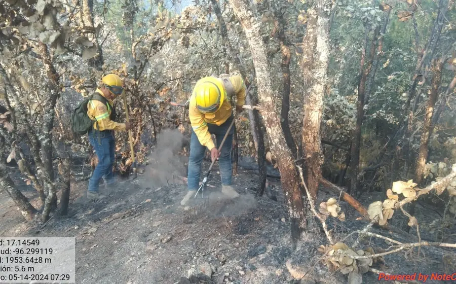 controlan_incendio_forestal_san_francisco_cajonos