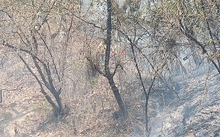 incendio-ixtlan