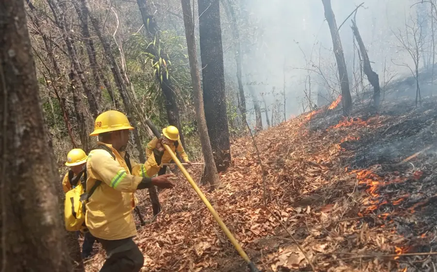 incendio-portada