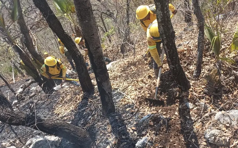 incendio-portada