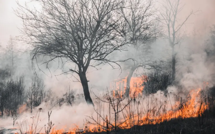 incendio-oaxaca